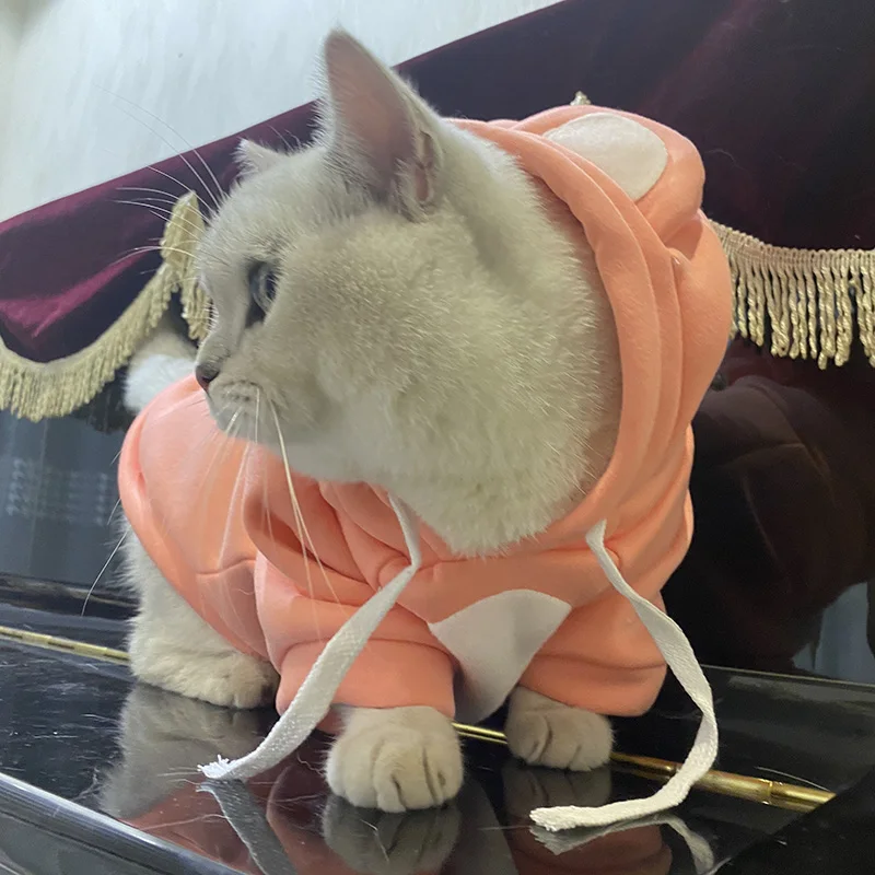 Newest Dog Cat Hoodie Sweater Winter Warm Pet Clothes for Cats Gotas Clothing Sphynx Kitten Persian Sweatshirt mascotas Costume