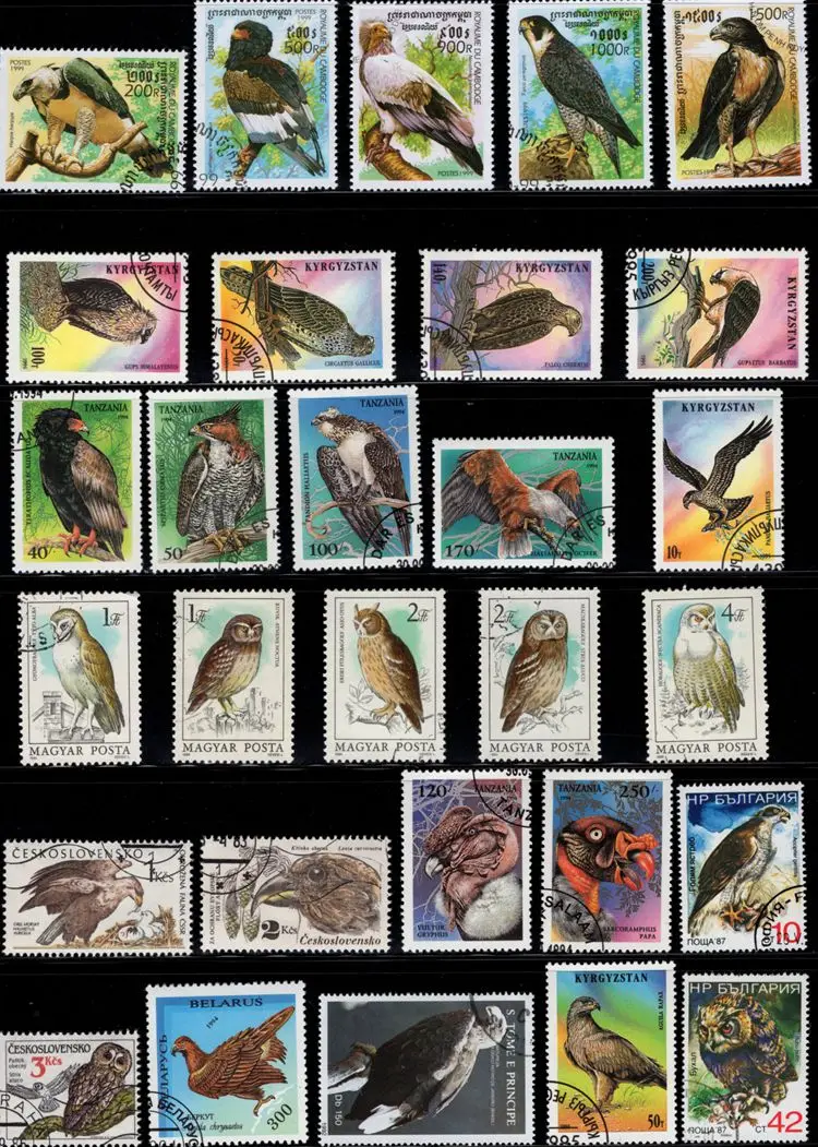 

50Pcs/Lot Bird of Prey Eagle Stamp Topic All Different From Many Countries NO Repeat Postage Stamps with Post Mark Collecting