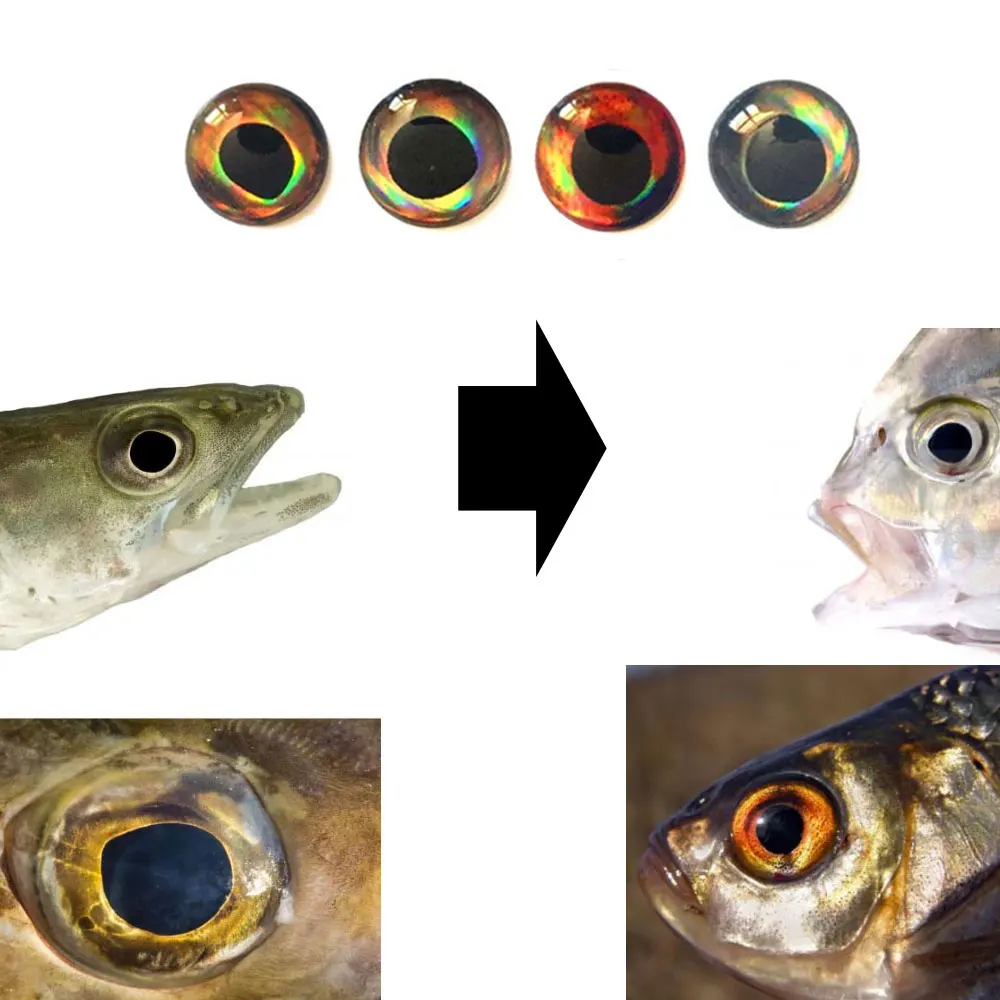 Popper madera Señuelo superficie con ojos holográficos 3D para moscas - imagen 5