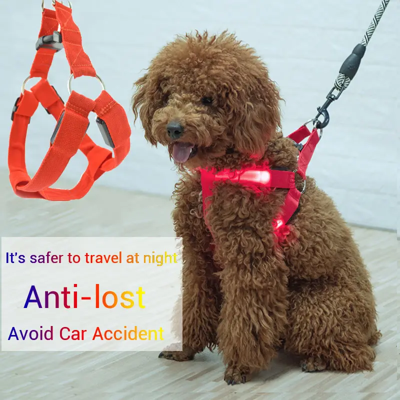 USB LED Dog Harness Rechargeable Light Pet Cat Walking Leash Vest Safety Neck Strap Nylon Flashing Accessories for Teddy Goats