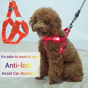 USB -LED -Kreuz für Hunde wiederaufladbare Haustierkatze Wanderung Trelah Sicherheitshalsgürtel Nylon Flading Plüschziegenzubehör 12 Hauptverkleidungskatze Katze Schafe - №11