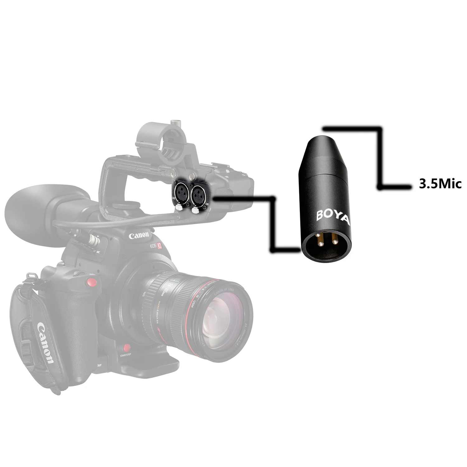 BOYA 35C-XLR adattatore per microfono femmina Mini-Jack da 3.5mm (TRS) a connettore maschio XLR a 3 pin per videocamere Sony registratori e