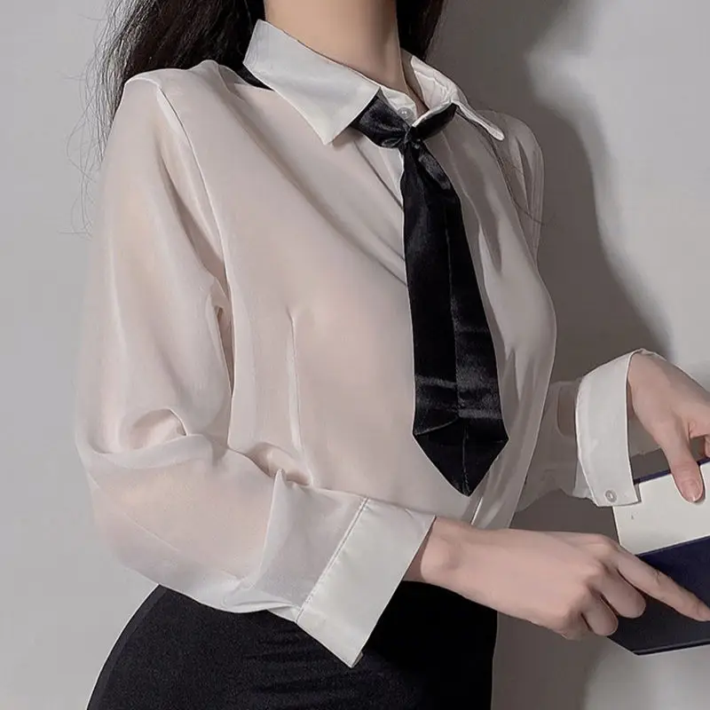 Sexy Lingerie Long-Sleeved See-Through Shirt Temptation Slim Skirt Secretary Professional Costume Christmas Cosplay Uniform Sets