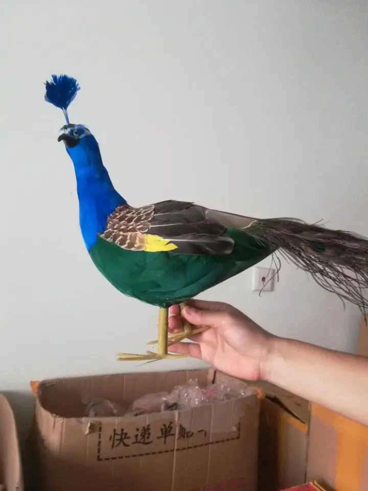 cute real life peacock model foam&feather simulation peacock gift about 80cm xf2652