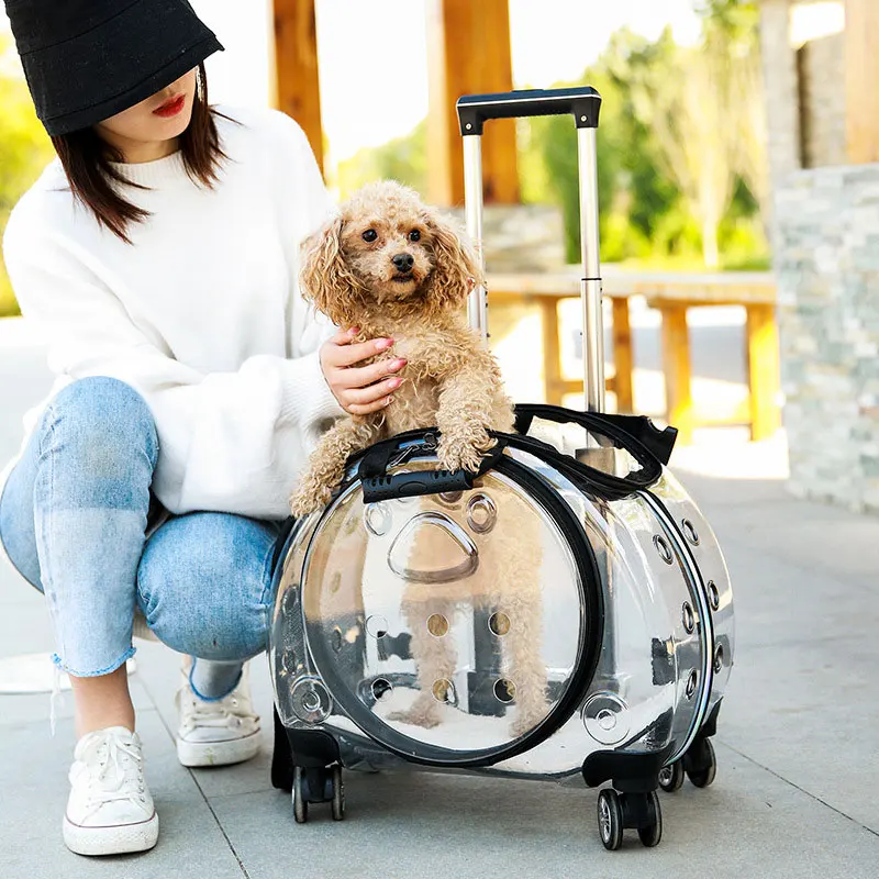 

Pet Rolling Backpack, Convenient Trolley Case, Breathable Pet Backpack, Outdoor Travel, Pet Flight Case Backpack