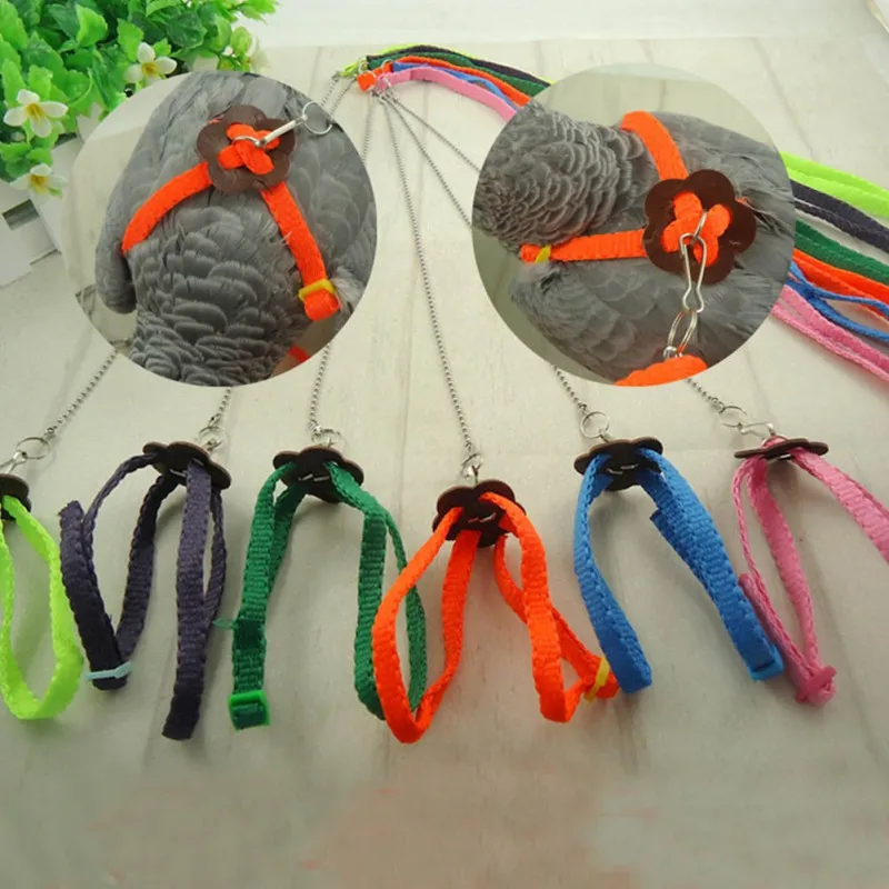 Parrot Bird Harness Leash Outdoor Flying Traction Straps Band Adjustable Anti-Bite Training Rope