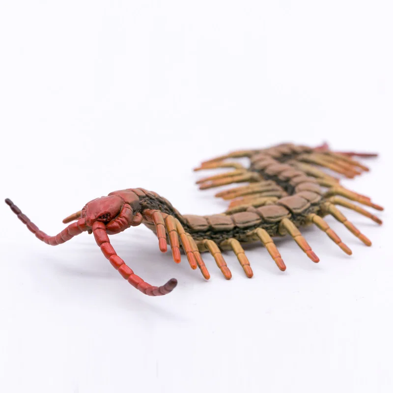 CollectA Wild Life Animals Little Wonder Insects Centipede PVC Plastic Figure Children Toys Model #88885