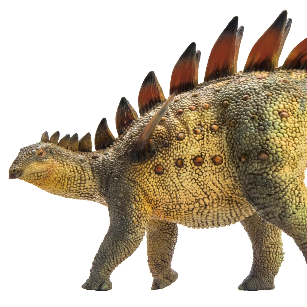 Prehistoryczne modele dinozaurów PNSO: 34Qichuan Tuojiangosaurus