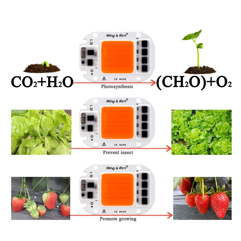 LED COB Chip Grow Light Lamp Full Spectrum 230V 110V 20W 30W 50W DIY For Indoor Plant Seedling Grow and Flower Growth Lighting