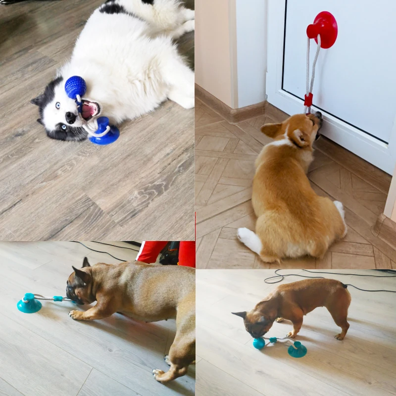 Hund Spielzeug Pet Welpen Interaktive Saugnapf Drücken TPR Ball Spielzeug Molaren Biss Spielzeug Elastische Seile Hund Zahn Reinigung Kauen liefert