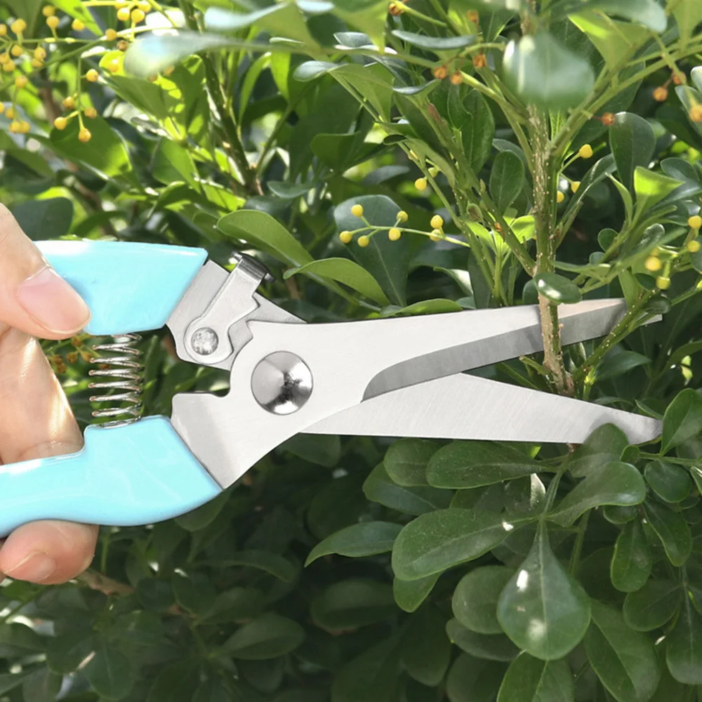 Nujouan forbici da giardino attrezzo per innesto albero da frutto potatura cesoie da potatura giardinaggio a mano pianta a forbice ramo potatore Trimmer strumenti