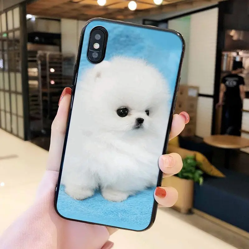 Cute Pomeranian dogs dog Coque Shell Phone Case for iphone 12 11 11Pro X XS MAX XR 8 7 6 6S Plus 5 5S SE