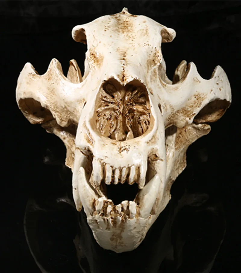 

Simulation Animal Polar Bear Skull Resin Crafts Specimen Medical Teaching Scary Home Decoration Skeleton Model Aquarium Decor