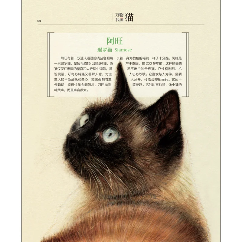 31 猫色鉛筆大人の絵画ブック素敵な猫の描画テクニックの本ゼロ基本的な描画チュートリアルブック大人のための