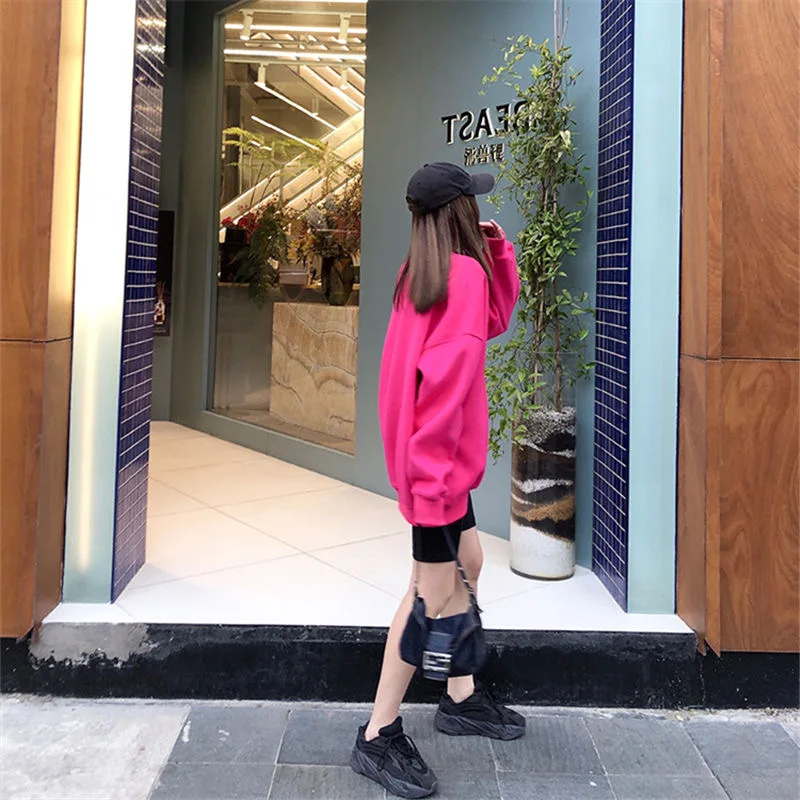 Dragon Fruit Color Letter Embroidery O Neck Thicken Sweatshirt Loose Casual Oversized Mid Length Winter Pullover Hoodies