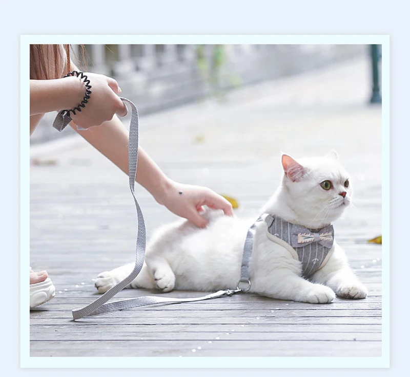 Bowknot Cat Harness and Leash Set Adjustable Puppy Harness Cat Lead Leash Clothes Vest Nylon Mesh Kitten Collar Cat Accessories