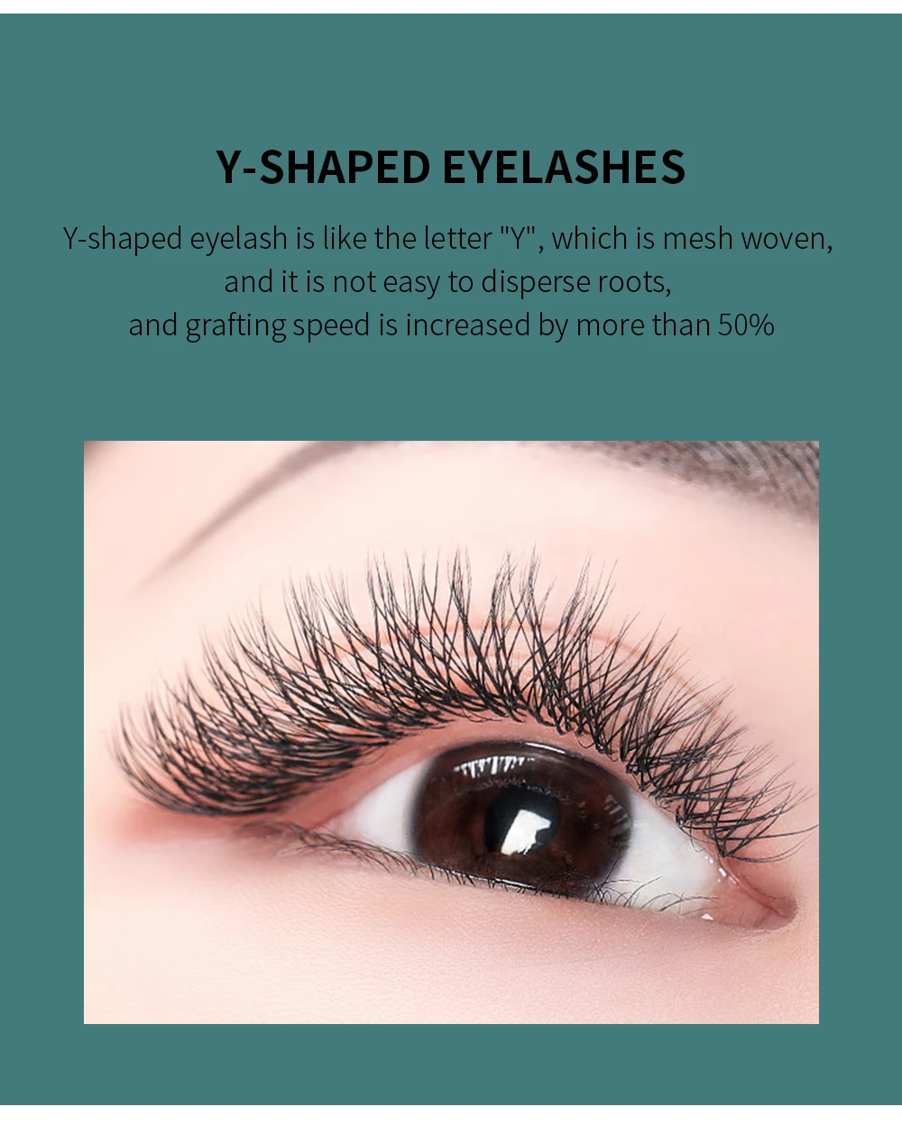 GLAMLASH Farbige Wimpern Y Blau Lila YY-Form Wimpernverlängerung 0,07 C/D Natürliche weiche synthetische Nerzblüte Falsche Wimpern – Detail 3
