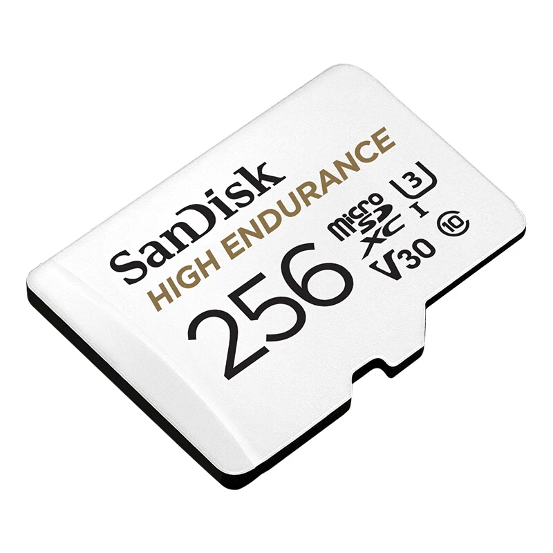 SanDisk-High Endurance Video Monitoring Cartão MicroSD, SDHC, SDXC, cartão TF Class10, câmera, telefone, 100%, 32GB, 64GB, 128GB, 256GB