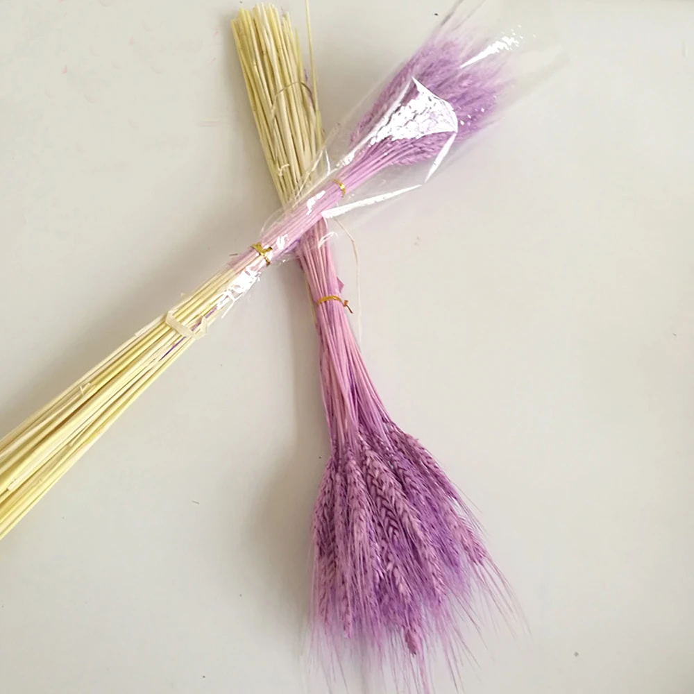 

100pc natural dried flower bouquets natural purple color dried ear of wheat bouquets&wheat ear Bunches