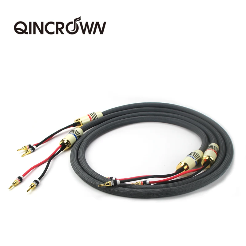 A pair of high-quality speaker audio cables are connected to the HiFi amplifier and the speaker audio signal cable