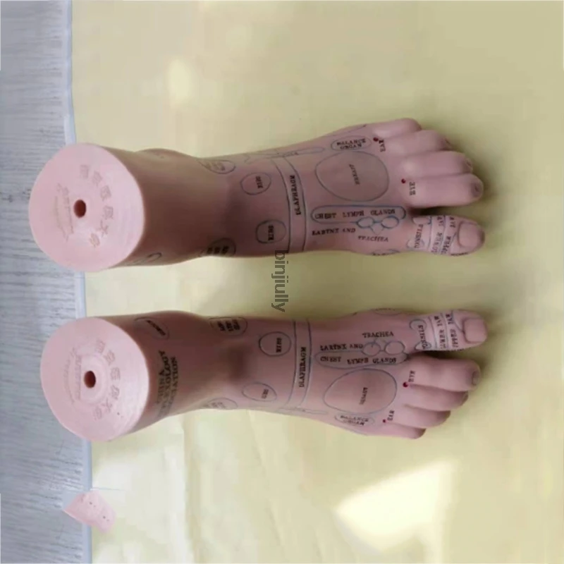 

19cm Foot reflex zone massage model, not acupuncture model, Chinese code TCM Feet Reflexology, 1 pair