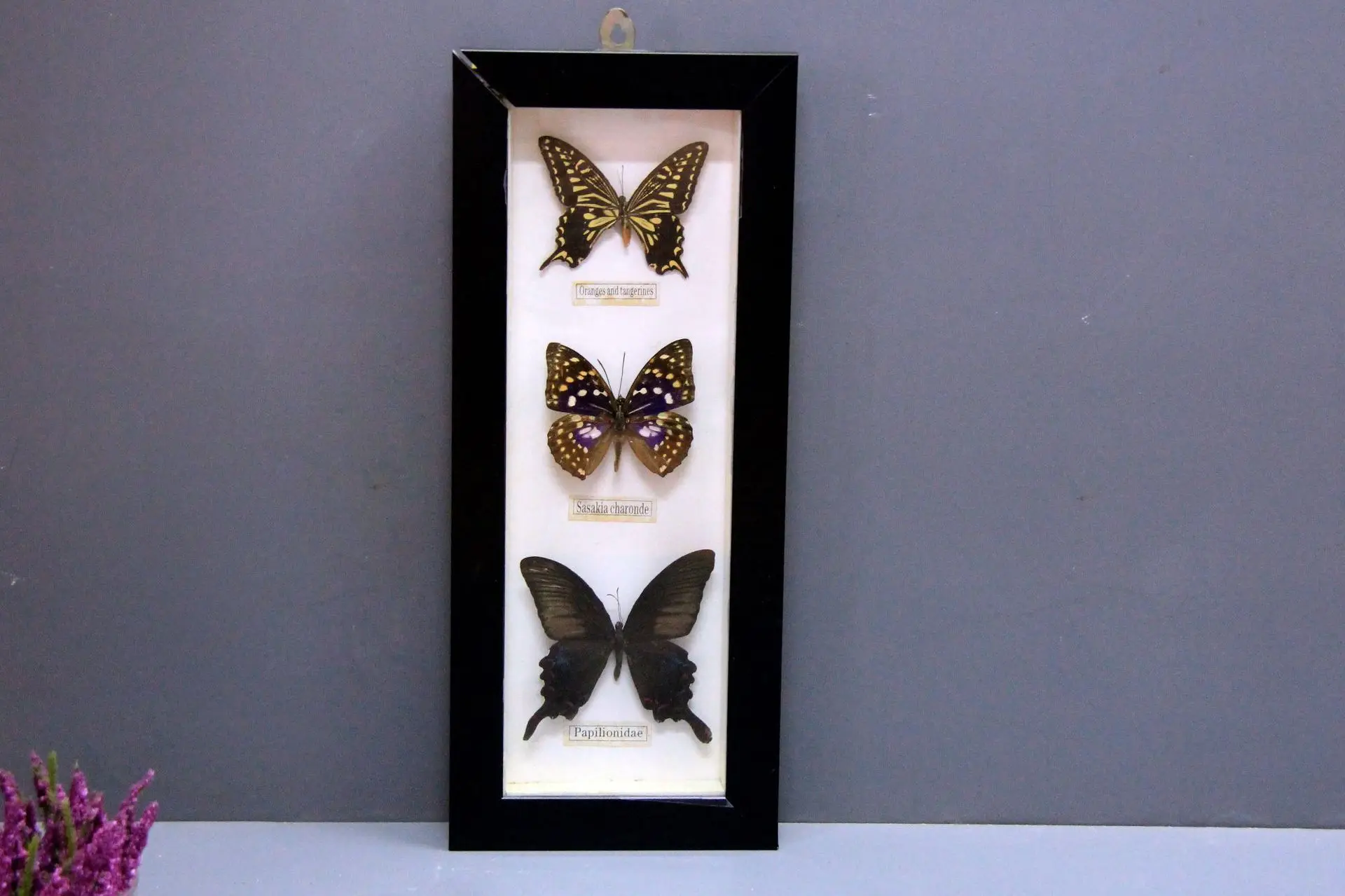 new Birthday Gift Exquisite 3pcs Butterflies Photo Frame Specimen Craft Gift Home Decor Ornament Home Decorations