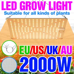 LED Grow Light LED Phytolamp โคมไฟเต็มสเปกตรัมพืชไฮโดรโปนิกส์พืชดอกไม้เติบโตกล่อง1000W 2000W quantum Board