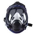 Only Mask body
