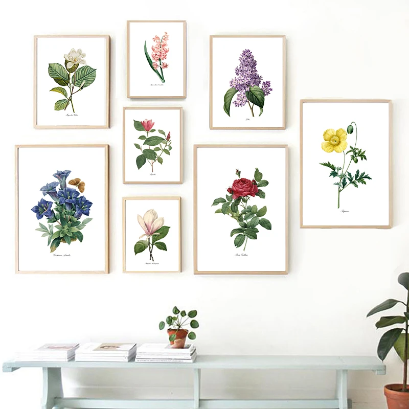 بي جي. ريدوت الزهور خمر الملصقات والمطبوعات العتيقة زهرة النباتية الفن حائط لوح رسم صور لغرفة المعيشة ديكور #1