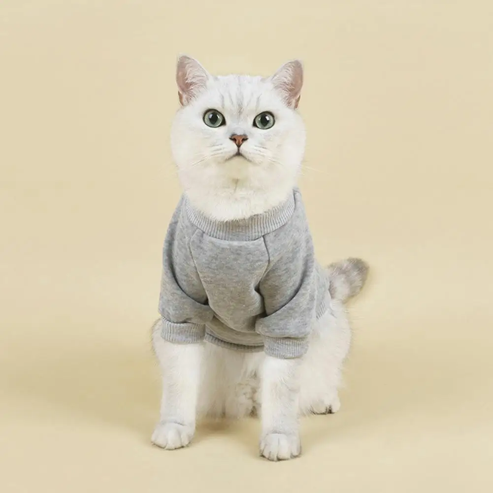 Pet Sweater Round Neck Solid Color Thickening Cat Dog Knitwear Sweater Autumn Dog Sweaters Pet Products