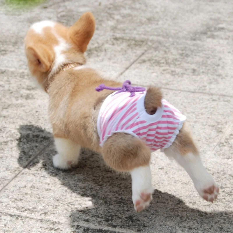 애완견 생리학 바지 강아지용 위생 스트라이프 기저귀 여성용 러블리 애완 동물 속옷, 소녀/개/고양이 용품, 인기 판매