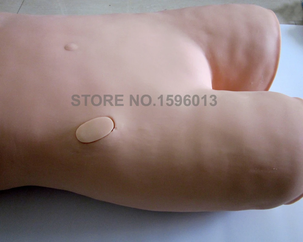 Bone Marrow Puncture Simulator Venapunctie Oefenpop Paracentesis Trainingsmodel