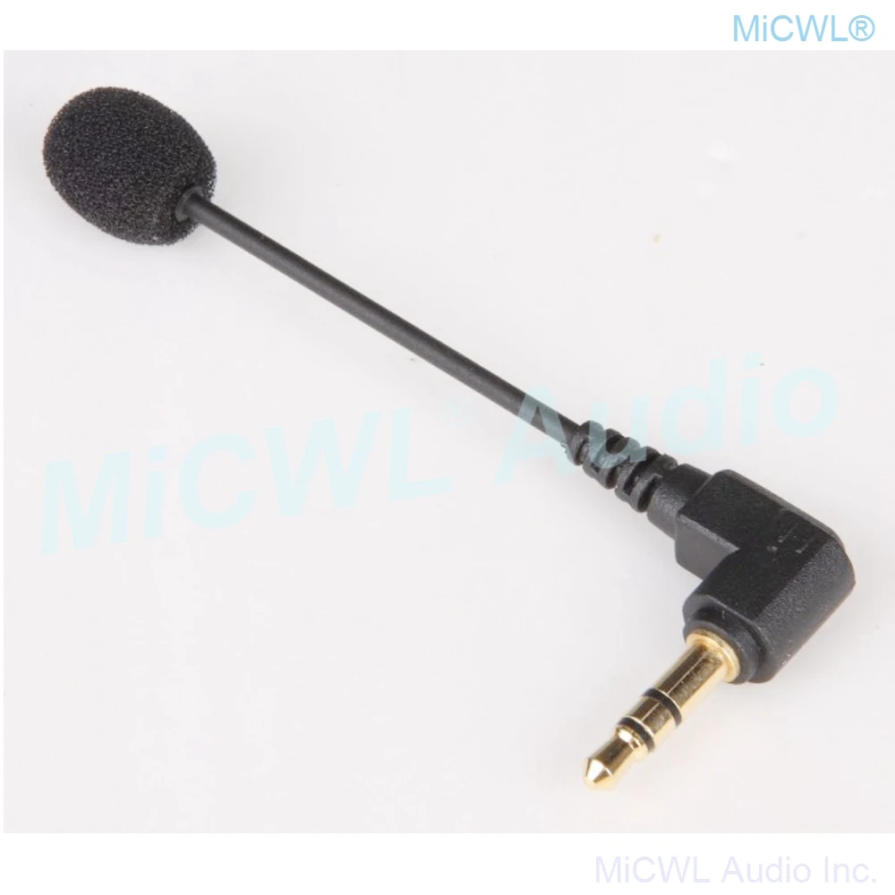 Variant: Laptop Mic