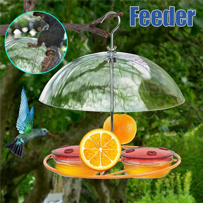 

Hanging Wild Birds Feeders, Jelly Orange, Bluebirds, Hummingbirds, Houses, Outdoor Decor