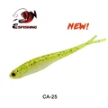 CA25