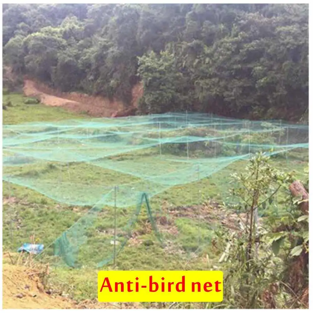 Garden Neting Bird Net Chicken Net Anti-Bird Chicken Deer Protection Net Pond Safety Net Garden Fence Crawl Net Nylon Netingt