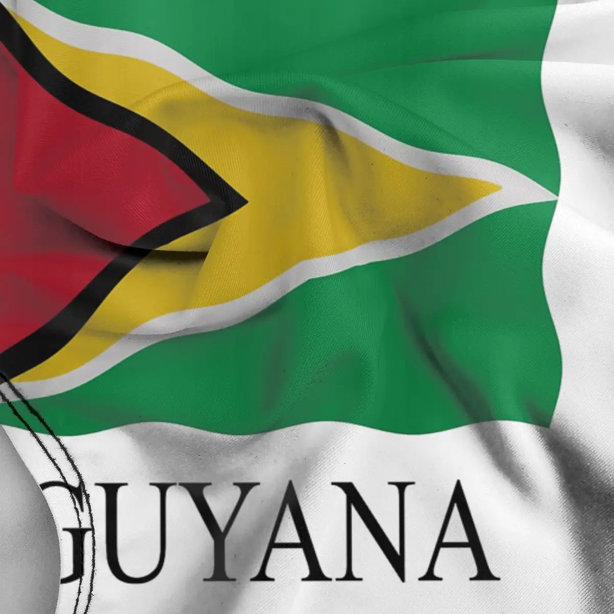 Guyana CỜ (1) Ngoại Lai Bikini Nữ Đầm Hạ Eo Mềm Mại Nữ Đi Biển Mặc Đi Biển M3