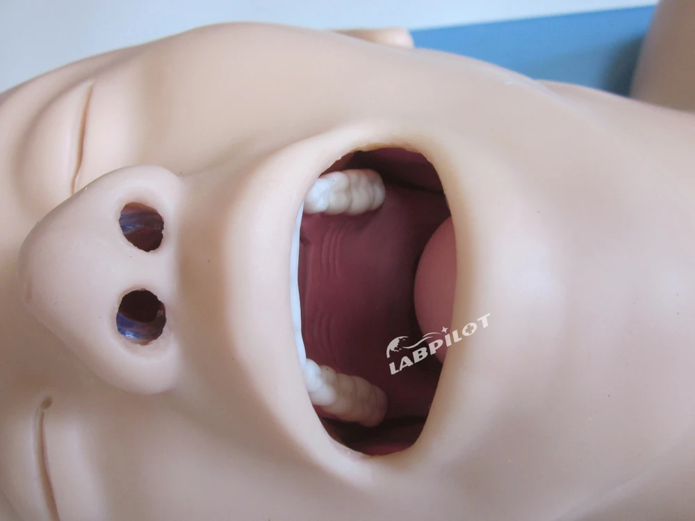 Electronic Tracheal Intubation Simulator Airway  Head Model, Adult Oral and Nasal Tubing Trainer