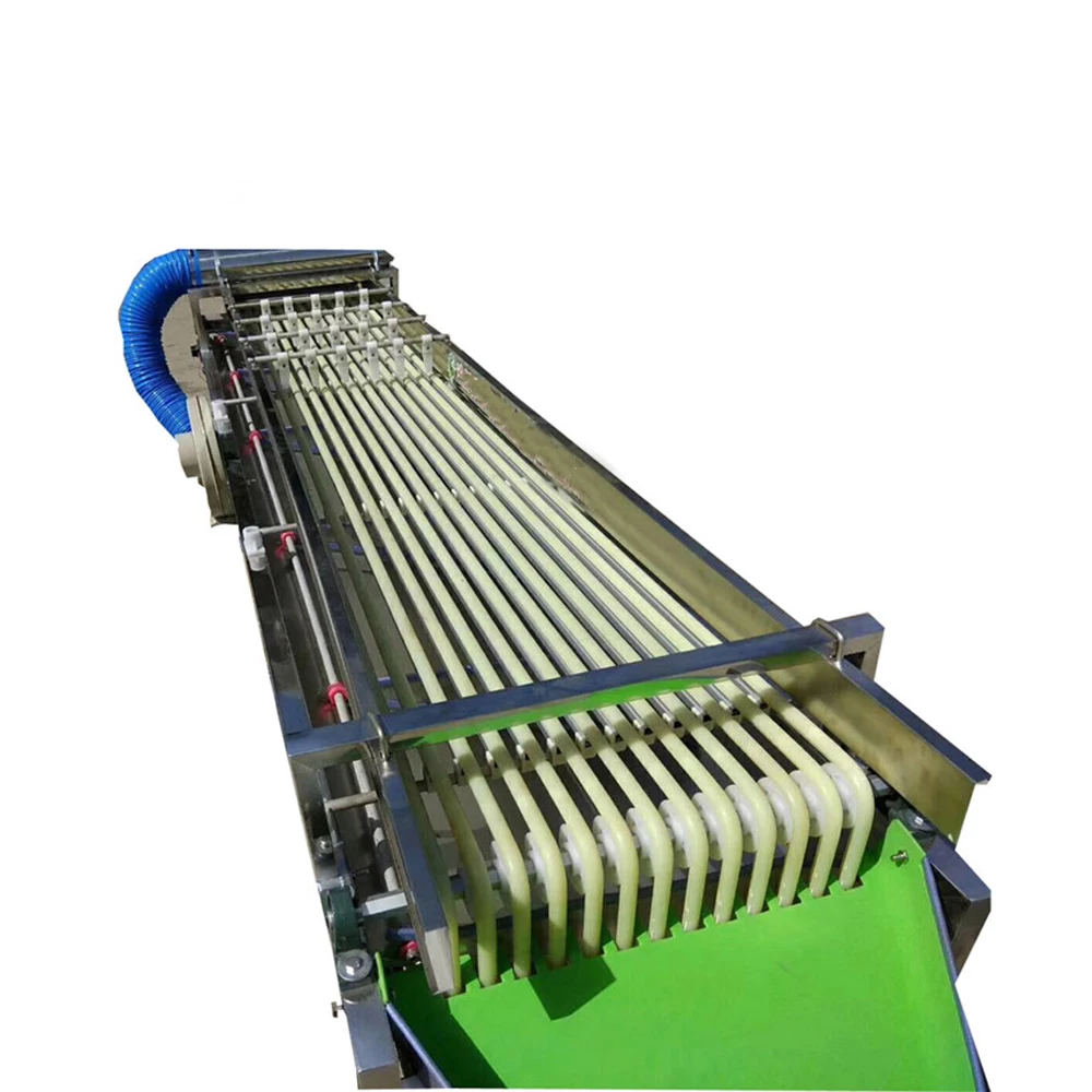 Para a máquina de classificação pequena 50-100 kg/h do tomate que classifica a máquina