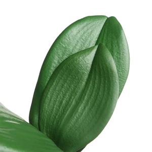 En çok satılan 12 ürün veya ücretsiz kargo fikirleri-no 12