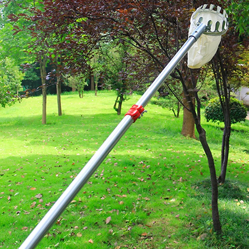 Cestino per la raccolta di frutta da giardino, raccolta di frutta, utensili manuali, raccoglitore per raccolta di agrumi, pera, pesca, giardinaggio