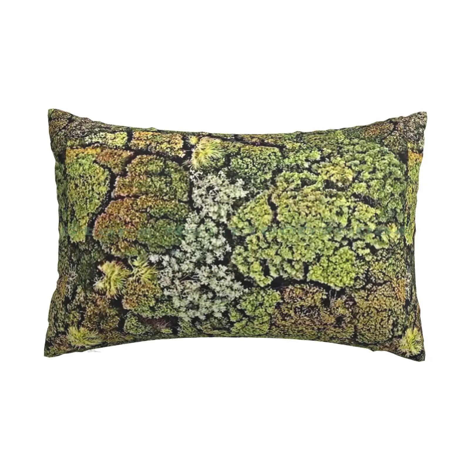 Moss Pillow Case 20x30 50*75 Sofa Bedroom Moss Nature Green Life Oxygen Trees From Above Wind Healthy Forest Park Love Summer