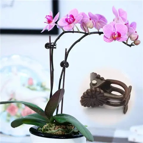 

50pcs Phalaenopsis Bracket Orchid Clip Support Rod Plant Climbing Flower Fixed Flowers Bracket Home Gardening Tool Orchid Clip