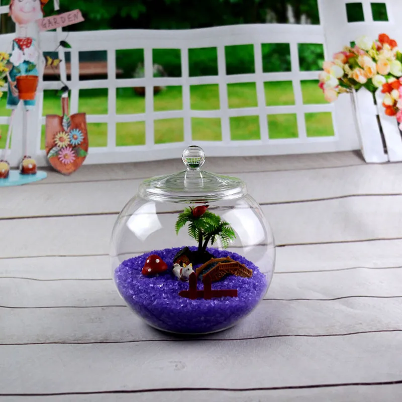 Free Shipping Diameter=20cm Big Micro-Landscape Bottle Hydroponic Flower Plant Transparent Glass Terrarium Vase Home Decorative