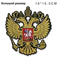 headed eagle