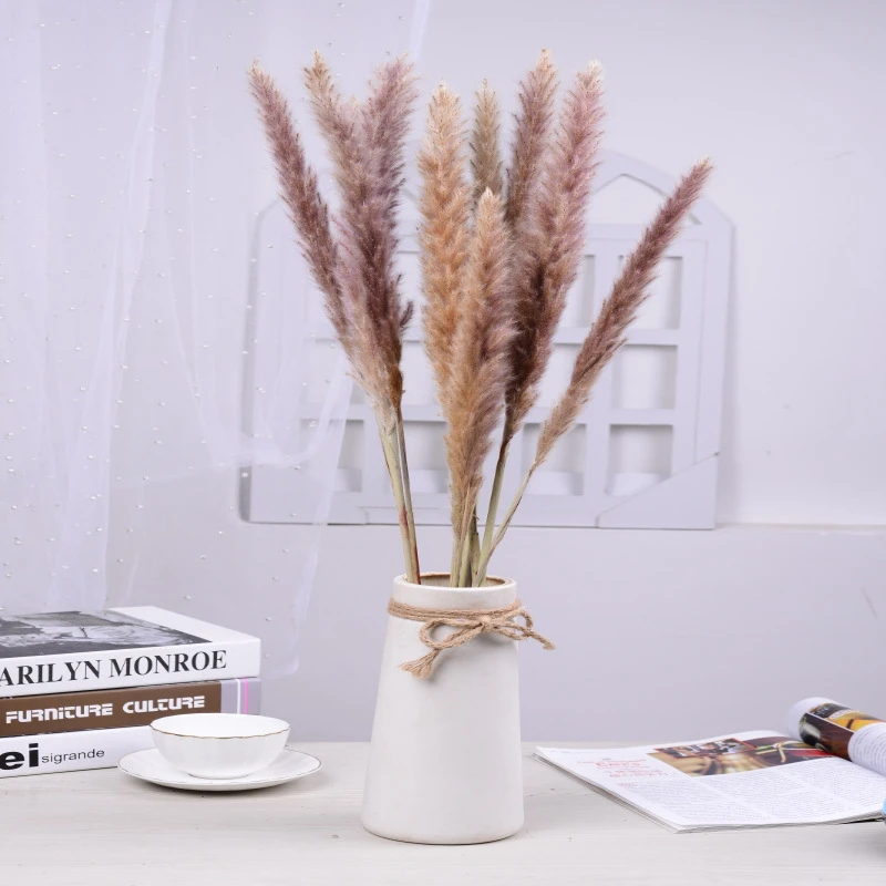 

Natural Plants Phragmites Decoracion Color Pampas Grass Wedding Dried Flowers Bunch Communis Dekoration Artificial Decoración