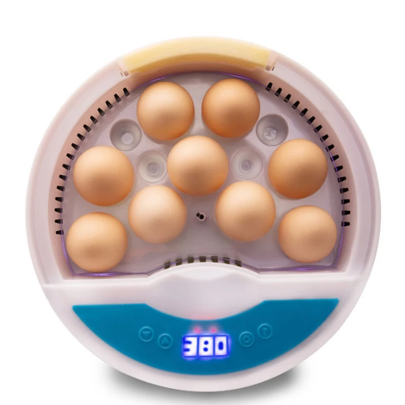 

Newest Farm Egg Incubator Brooder Machine For Chicken Goose Duck Quail Pigeon Automatic Mini 9 Egg Hatchers 110V/220V