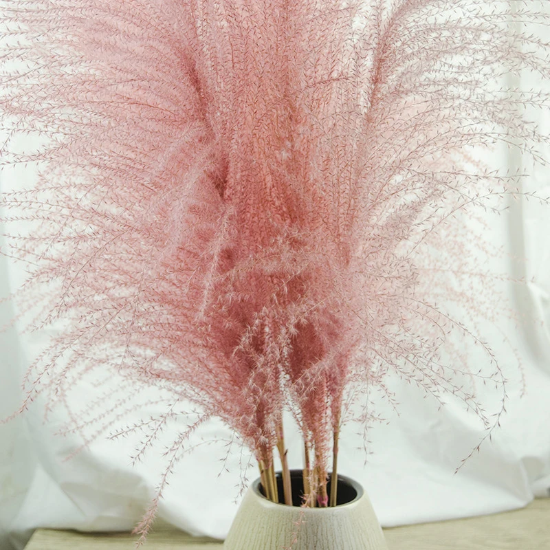 

Pampas Grass Dried Flower Bouquet, Reed Grass, Plants Branch, Wedding Road Leads, Home Decoration Accessories, 10Pcs Lot