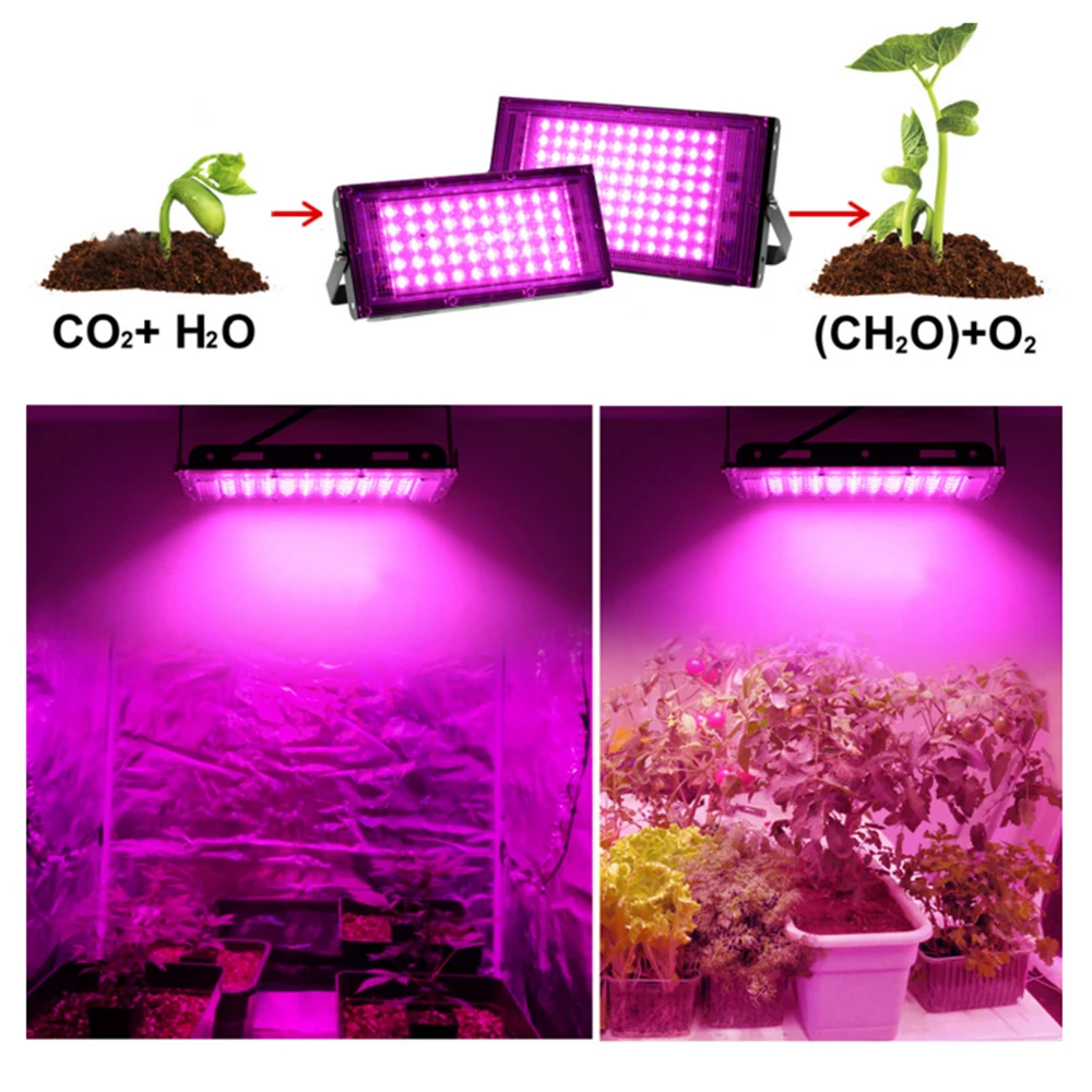 Imagem -05 - Lâmpada Led Full Spectrum para Cultivo e Crescimentde de Plantas Luz de Led 50w 220 w 100 v Refletor Holofote