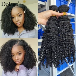 Tissage de cheveux mongoliens Remy 100% naturels-DOLAGO, cheveux humains crépus bouclés Afro 3B 255., extensions de cheveux, trame de cheveux, lots de 3